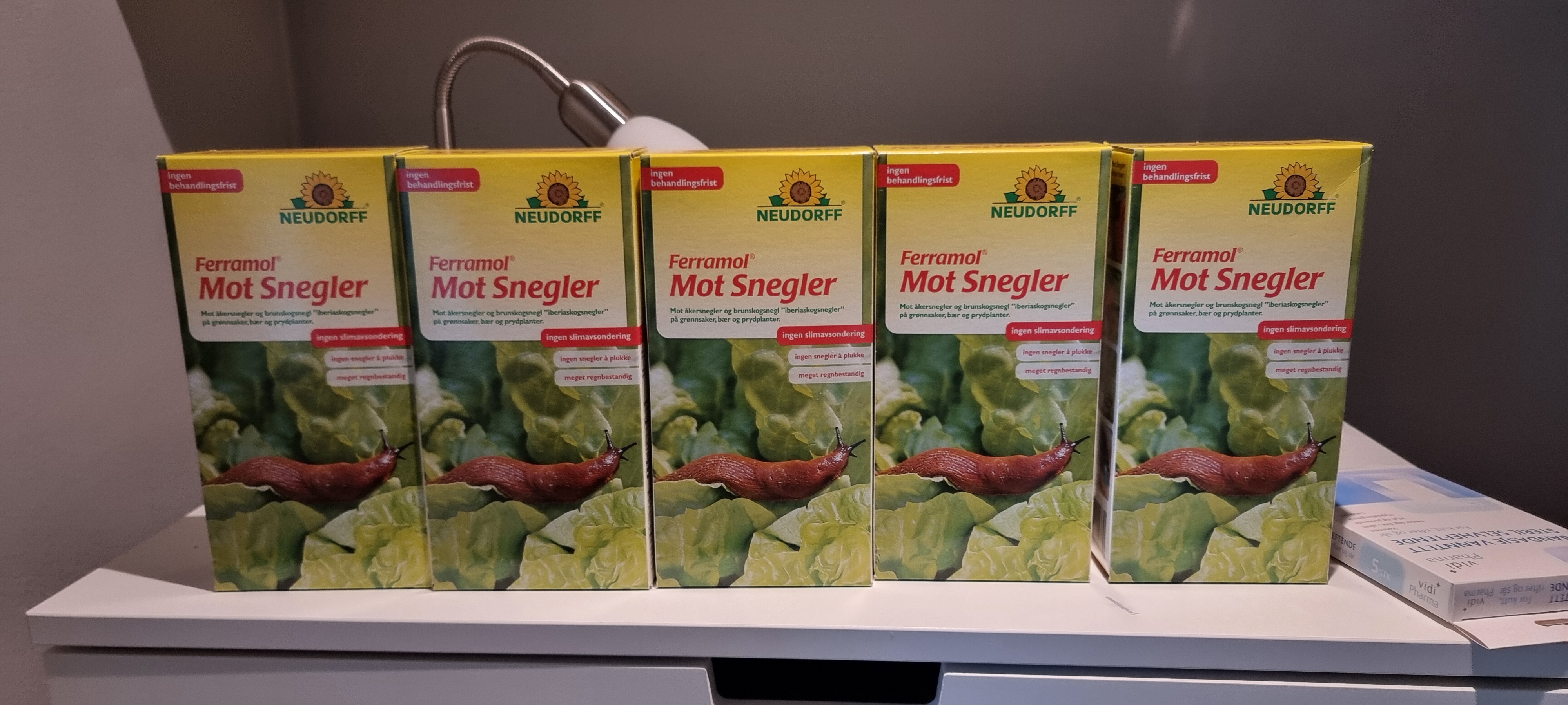 Artikkelbilde til artikkelen Brunsnegler